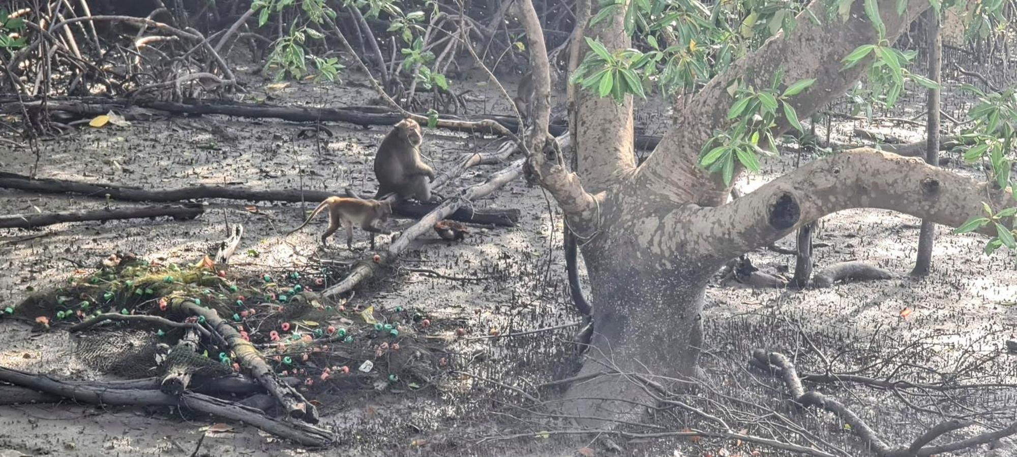 Phang Nga Bay Khanittha Homestay Ban Khiam Zewnętrze zdjęcie
